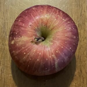 らでぃっしゅぼーやお試しセットの「ふじりんご」