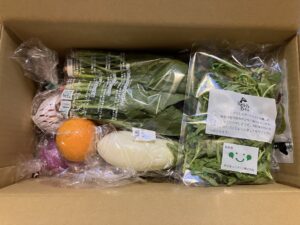 実際に届いたらでぃっしゅぼーやのお試しセットの箱を開けたところ