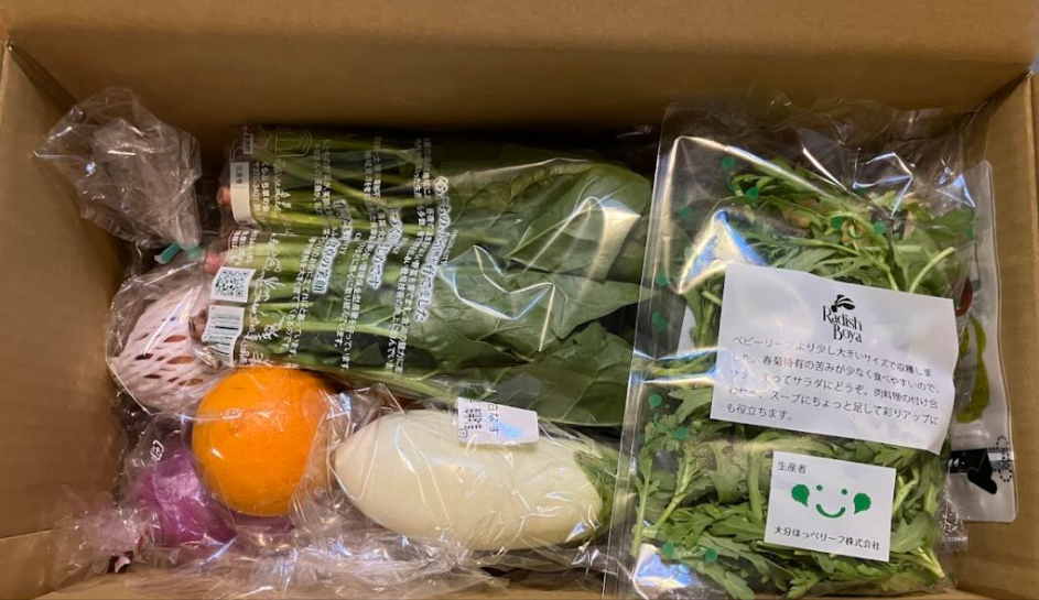 らでぃっしゅぼーやお試しセットが届いた状態